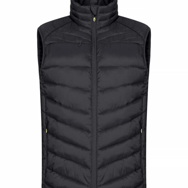 Alternative view of Idaho Vest Men