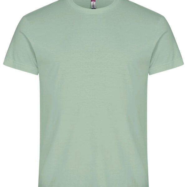 Alternative view of Basic-T