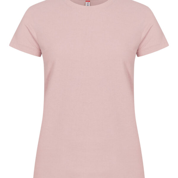 Alternative view of Basic-T Dam