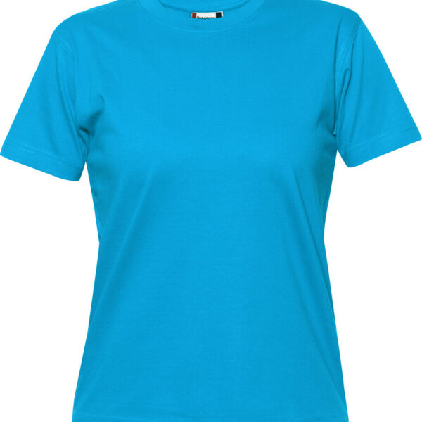 Alternative view of Premium-T Dam