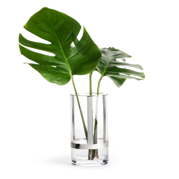 Alternative view of Hold vas medium