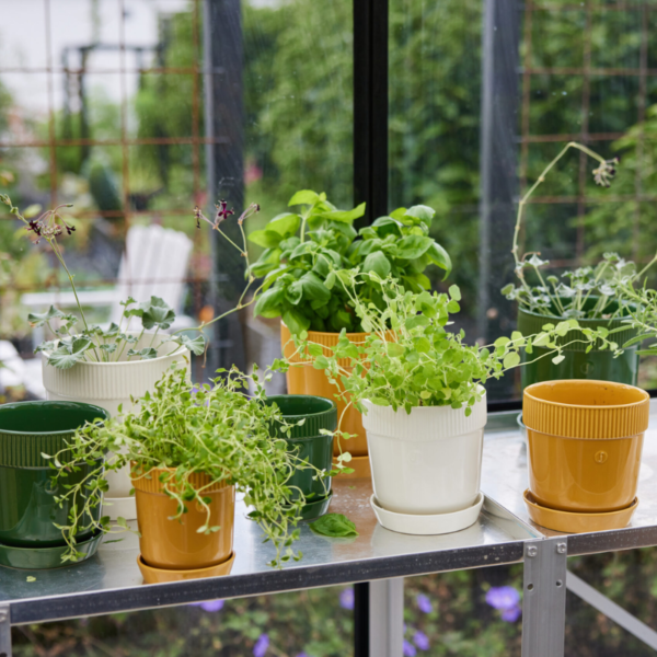 Alternative view of Elise örtkruka