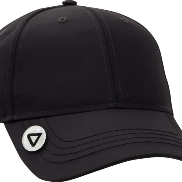 Alternative view of AHEAD LLC - Putnam Cap