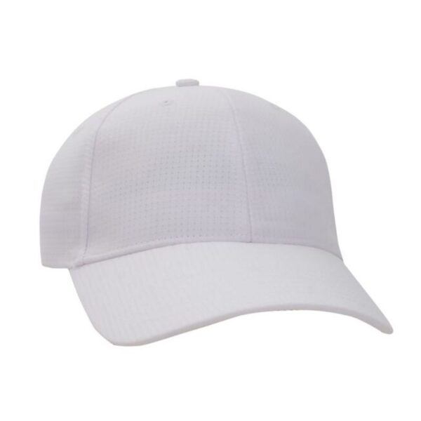 AHEAD LLC - Grid Cap