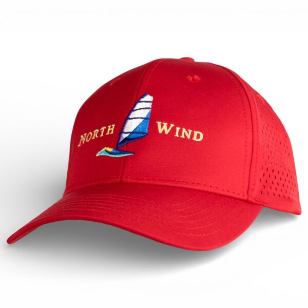 Alternative view of Pioneer keps med perforering