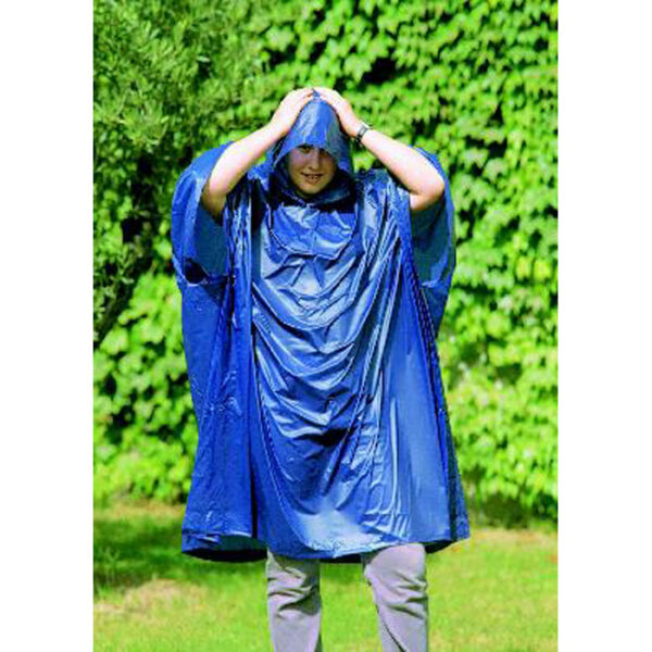 Alternative view of REGAL - Regnponcho